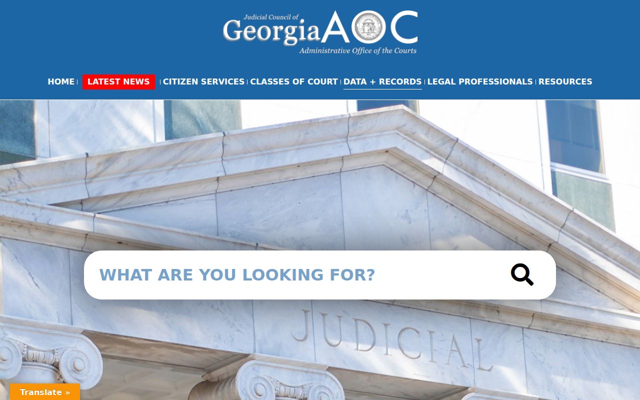 Johnson County criminal docket Georgia Courts records gateway